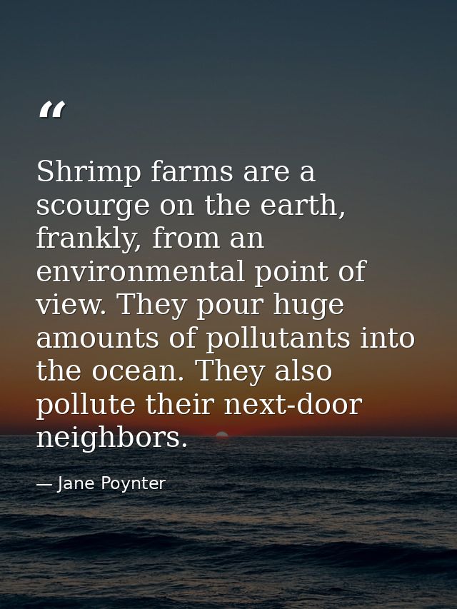 Shrimp farms are a scourge on the earth, frankly, from an environmental point of view. They pour huge amounts of polluta — Jane Poynter