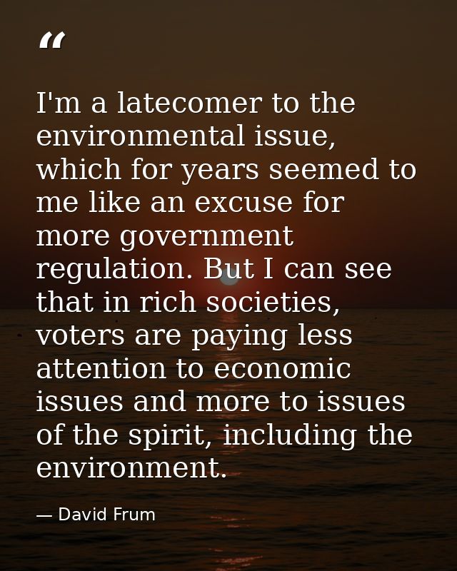 I'm a latecomer to the environmental issue, which for years seemed to me like an excuse for more government regulation.  — David Frum