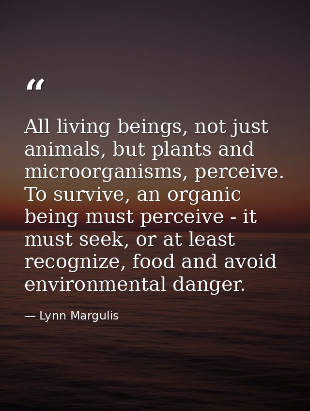 All living beings, not just animals, but plants and microorganisms, perceive. To survive, an organic being must perceive — Lynn Margulis