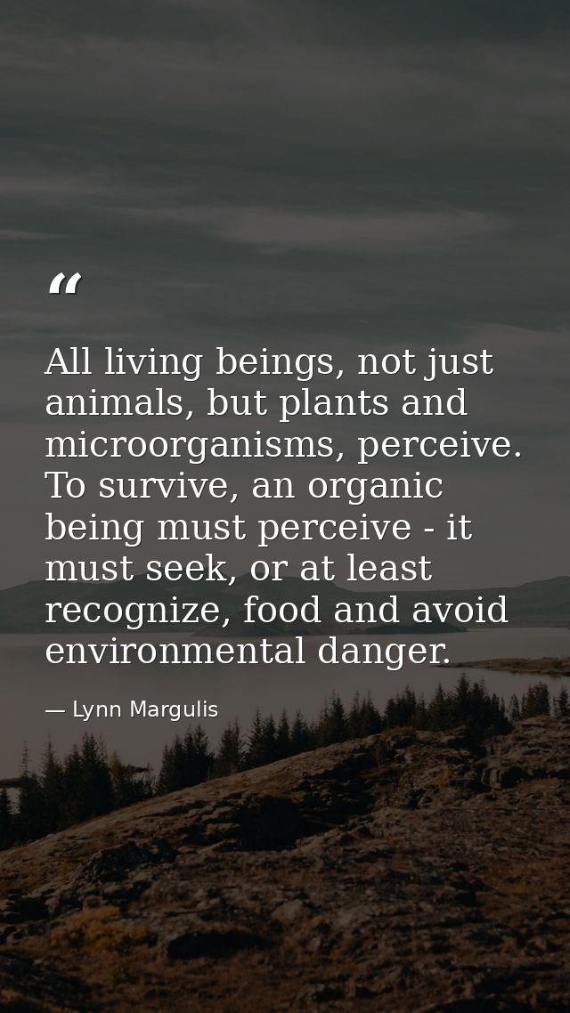 All living beings, not just animals, but plants and microorganisms, perceive. To survive, an organic being must perceive — Lynn Margulis