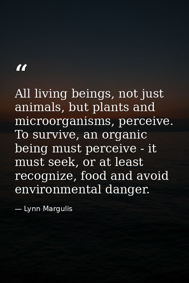All living beings, not just animals, but plants and microorganisms, perceive. To survive, an organic being must perceive — Lynn Margulis
