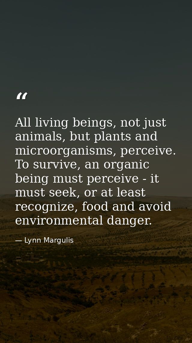 All living beings, not just animals, but plants and microorganisms, perceive. To survive, an organic being must perceive — Lynn Margulis