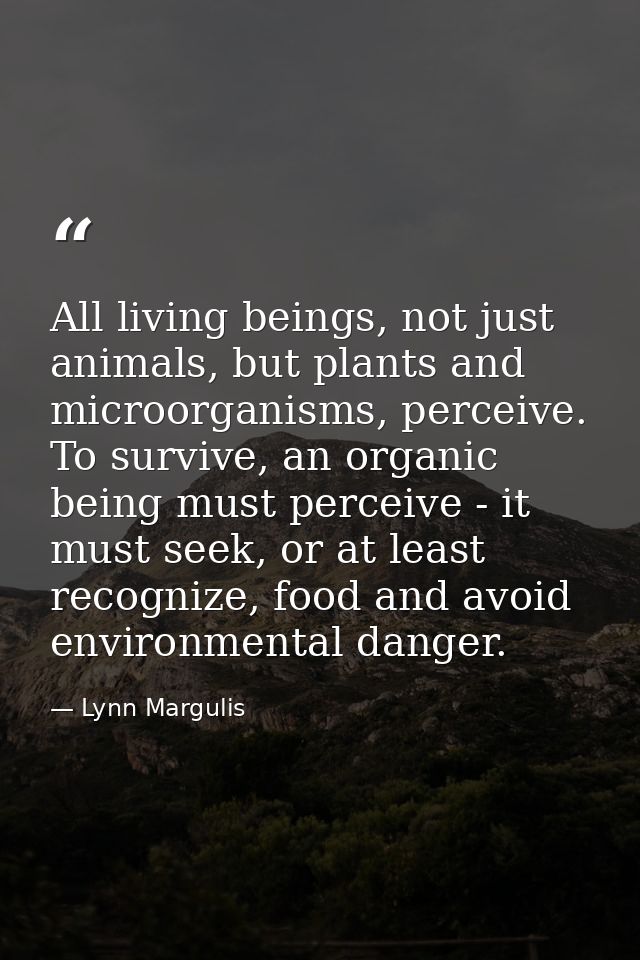 All living beings, not just animals, but plants and microorganisms, perceive. To survive, an organic being must perceive — Lynn Margulis
