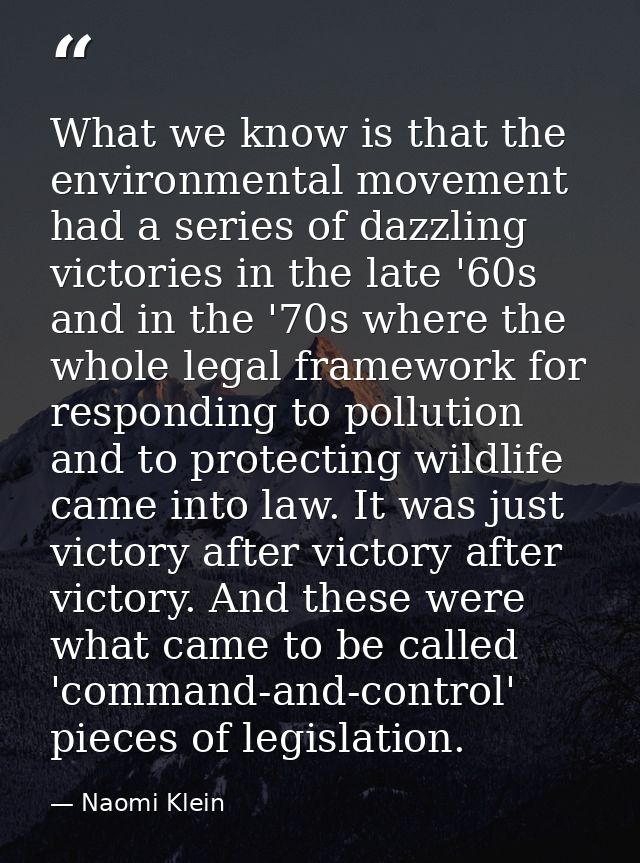 What we know is that the environmental movement had a series of dazzling victories in the late '60s and in the '70s wher — Naomi Klein