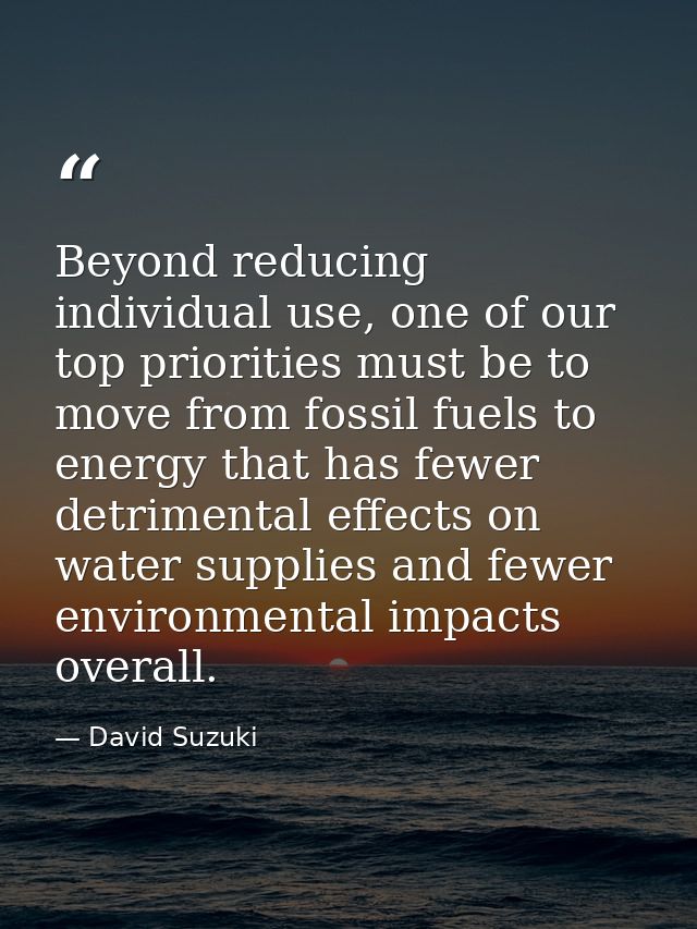 Beyond reducing individual use, one of our top priorities must be to move from fossil fuels to energy that has fewer det — David Suzuki