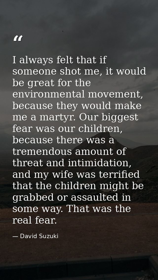 I always felt that if someone shot me, it would be great for the environmental movement, because they would make me a ma — David Suzuki