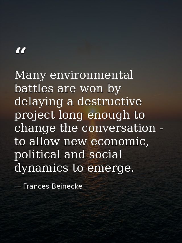 Many environmental battles are won by delaying a destructive project long enough to change the conversation - to allow n — Frances Beinecke