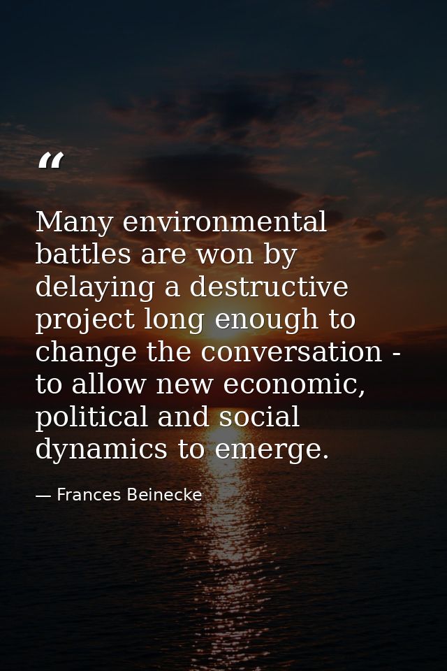 Many environmental battles are won by delaying a destructive project long enough to change the conversation - to allow n — Frances Beinecke