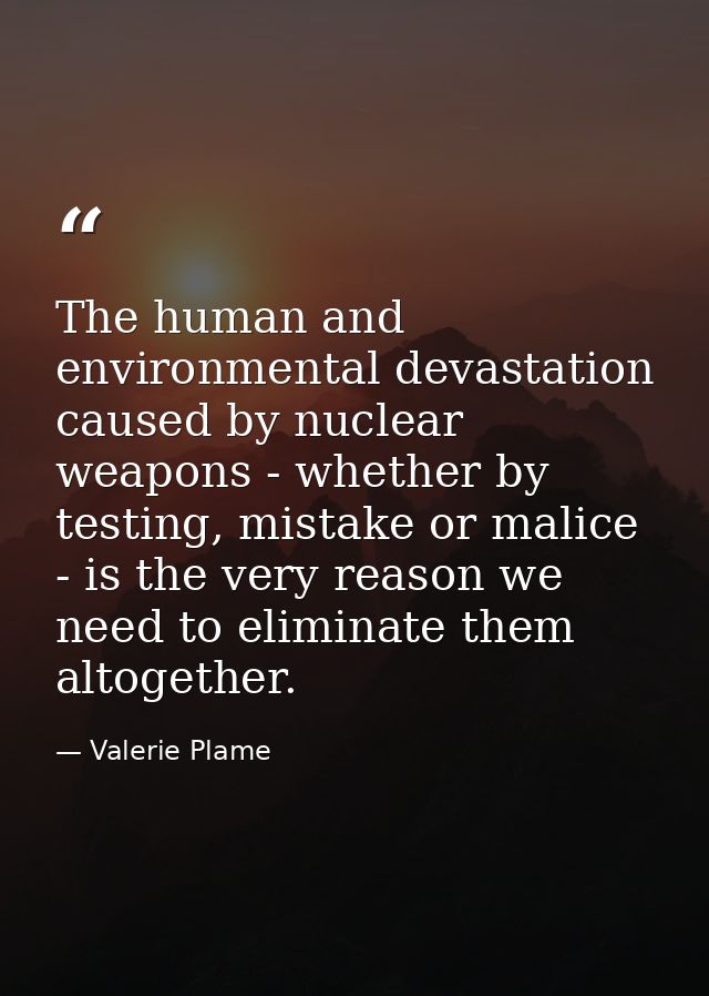 The human and environmental devastation caused by nuclear weapons - whether by testing, mistake or malice - is the very  — Valerie Plame
