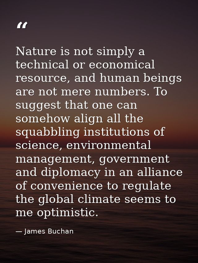 Nature is not simply a technical or economical resource, and human beings are not mere numbers. To suggest that one can  — James Buchan