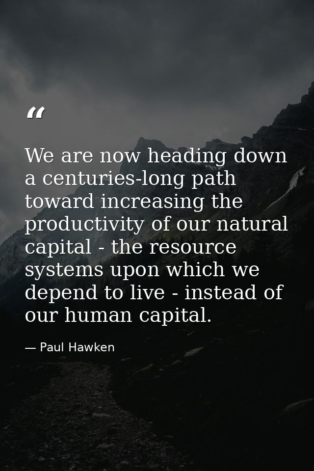 We are now heading down a centuries-long path toward increasing the productivity of our natural capital - the resource s — Paul Hawken