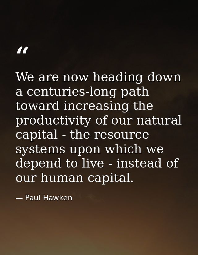 We are now heading down a centuries-long path toward increasing the productivity of our natural capital - the resource s — Paul Hawken