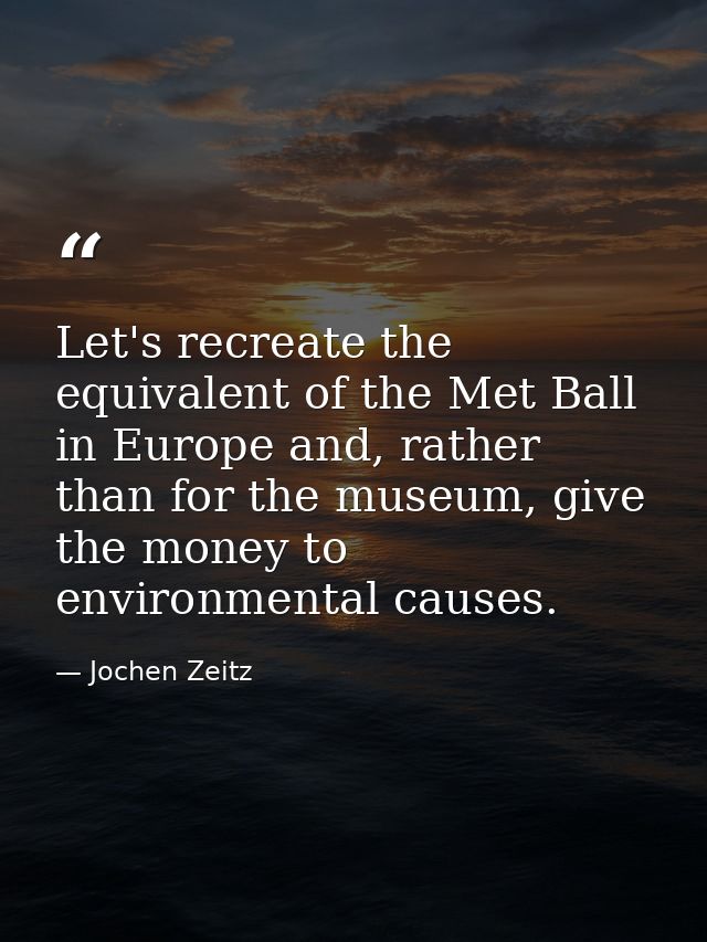 Let's recreate the equivalent of the Met Ball in Europe and, rather than for the museum, give the money to environmental — Jochen Zeitz