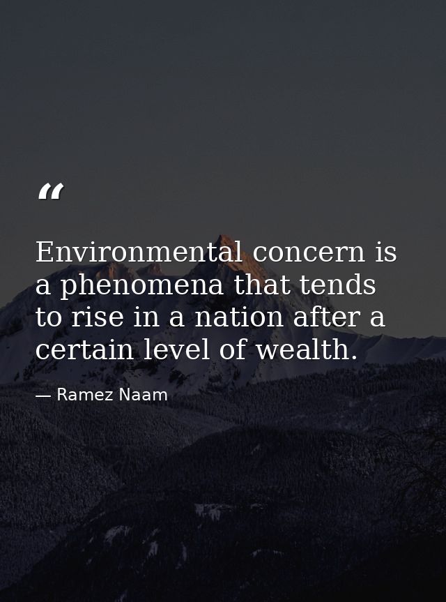 Environmental concern is a phenomena that tends to rise in a nation after a certain level of wealth. — Ramez Naam
