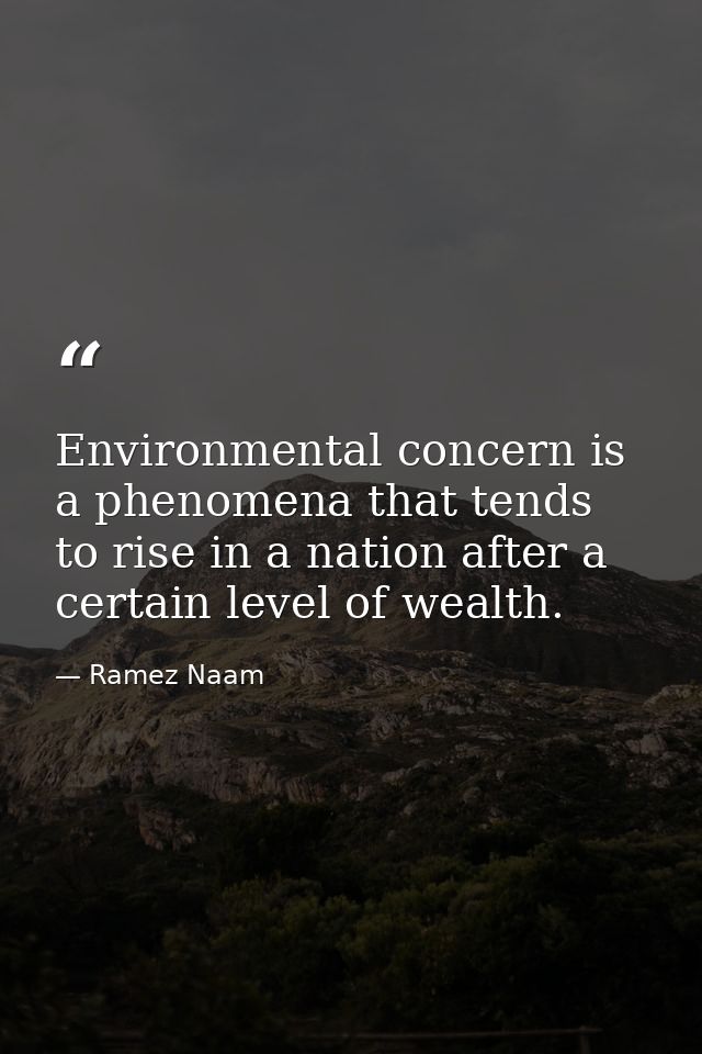 Environmental concern is a phenomena that tends to rise in a nation after a certain level of wealth. — Ramez Naam