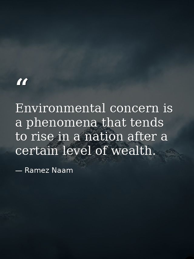 Environmental concern is a phenomena that tends to rise in a nation after a certain level of wealth. — Ramez Naam