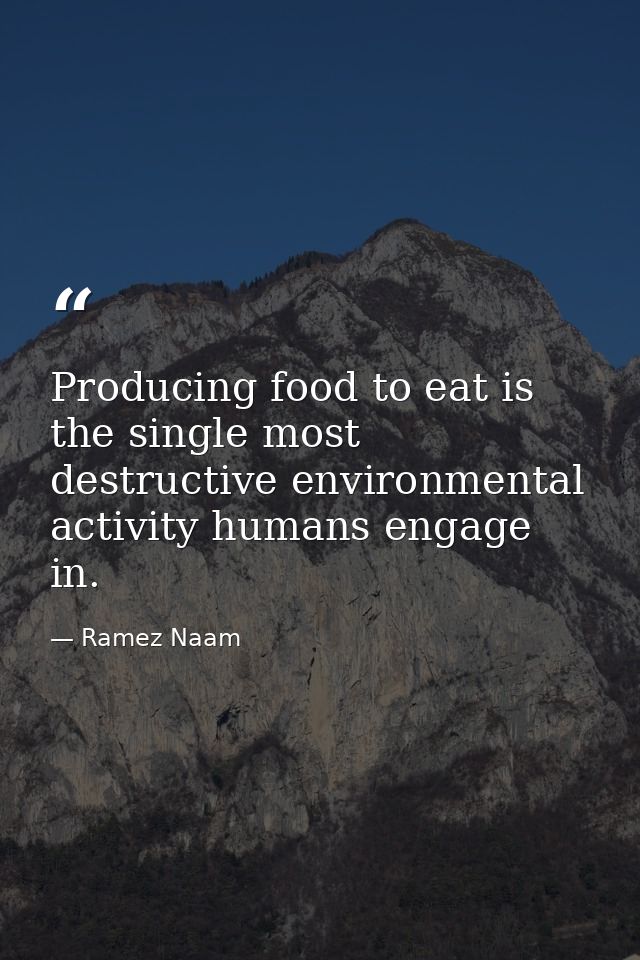 Producing food to eat is the single most destructive environmental activity humans engage in. — Ramez Naam