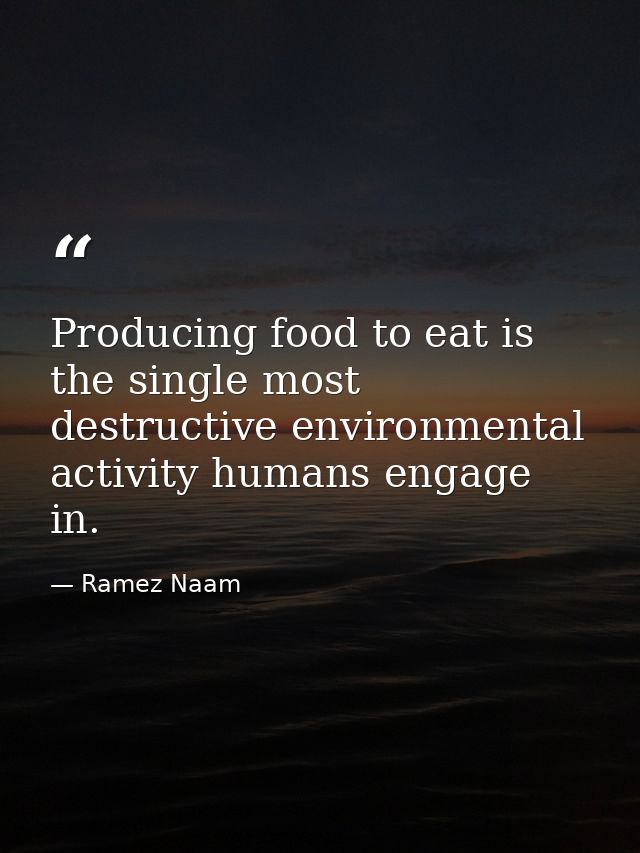 Producing food to eat is the single most destructive environmental activity humans engage in. — Ramez Naam