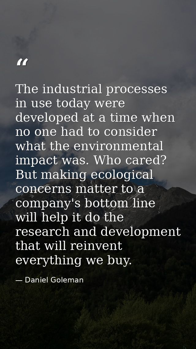 The industrial processes in use today were developed at a time when no one had to consider what the environmental impact — Daniel Goleman