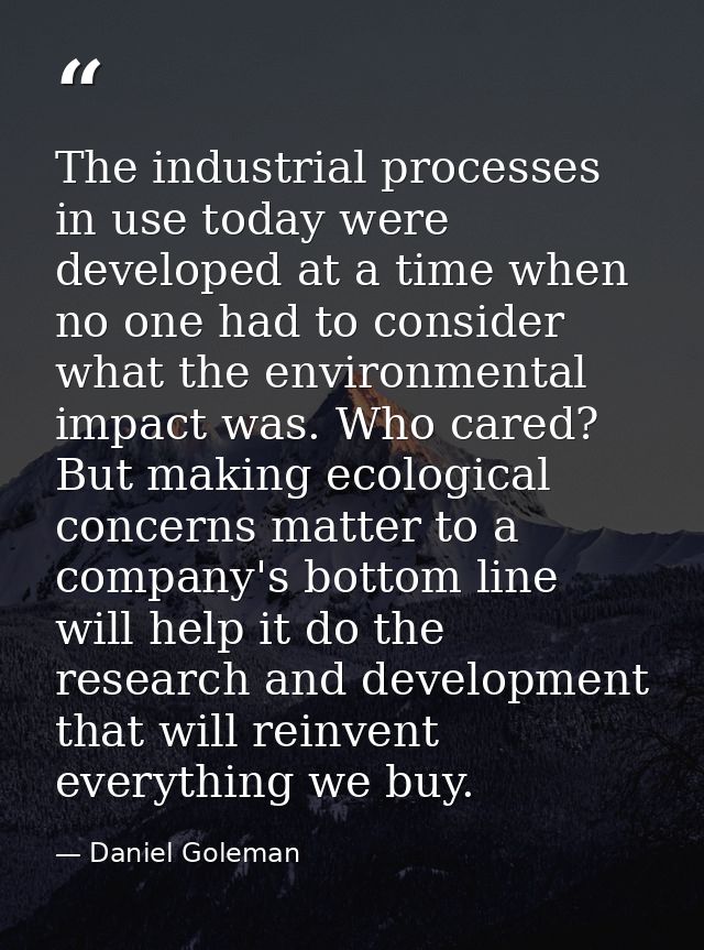 The industrial processes in use today were developed at a time when no one had to consider what the environmental impact — Daniel Goleman