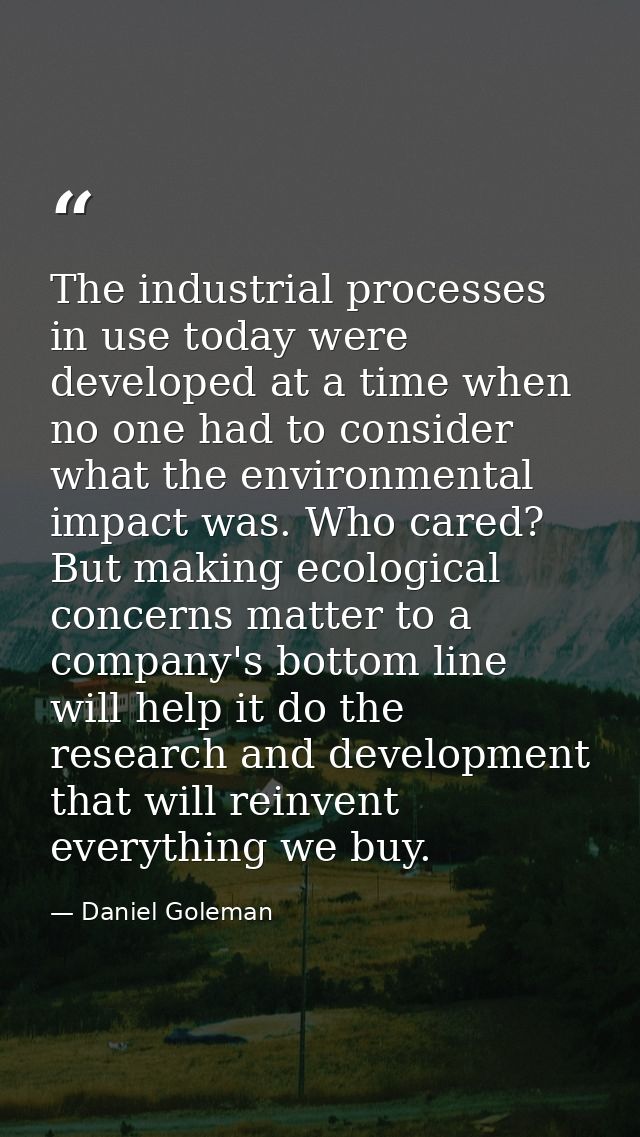 The industrial processes in use today were developed at a time when no one had to consider what the environmental impact — Daniel Goleman