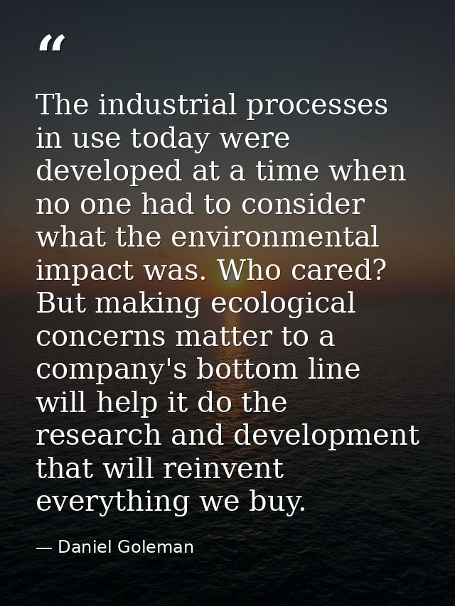 The industrial processes in use today were developed at a time when no one had to consider what the environmental impact — Daniel Goleman