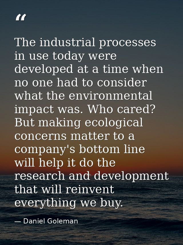 The industrial processes in use today were developed at a time when no one had to consider what the environmental impact — Daniel Goleman