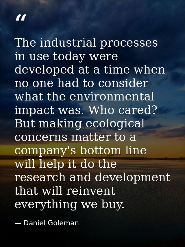 The industrial processes in use today were developed at a time when no one had to consider what the environmental impact — Daniel Goleman