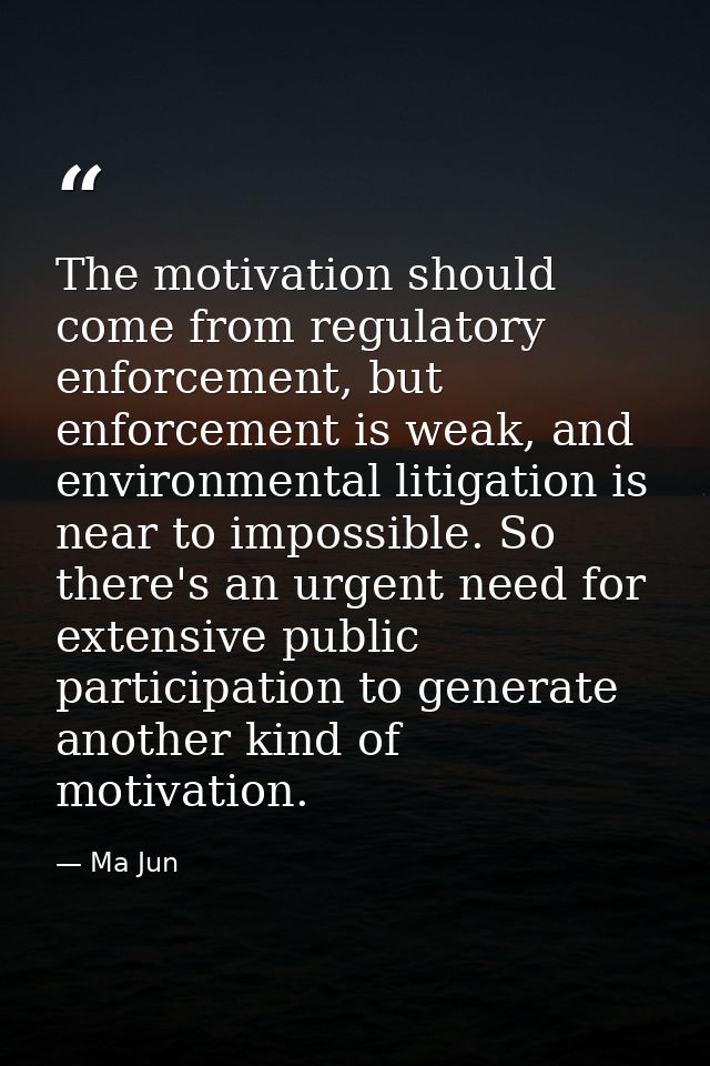 The motivation should come from regulatory enforcement, but enforcement is weak, and environmental litigation is near to — Ma Jun