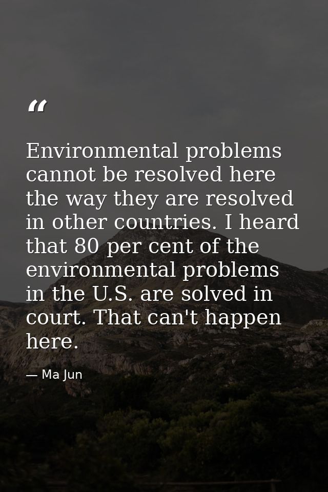 Environmental problems cannot be resolved here the way they are resolved in other countries. I heard that 80 per cent of — Ma Jun