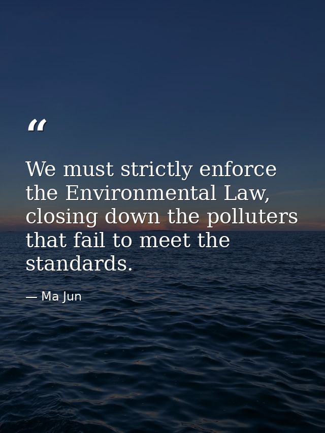 We must strictly enforce the Environmental Law, closing down the polluters that fail to meet the standards. — Ma Jun