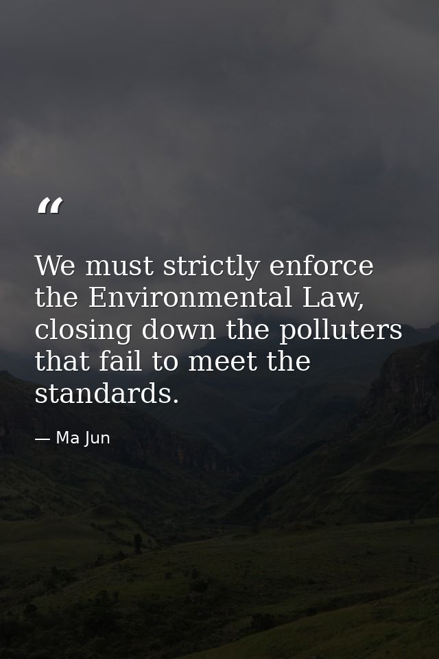 We must strictly enforce the Environmental Law, closing down the polluters that fail to meet the standards. — Ma Jun