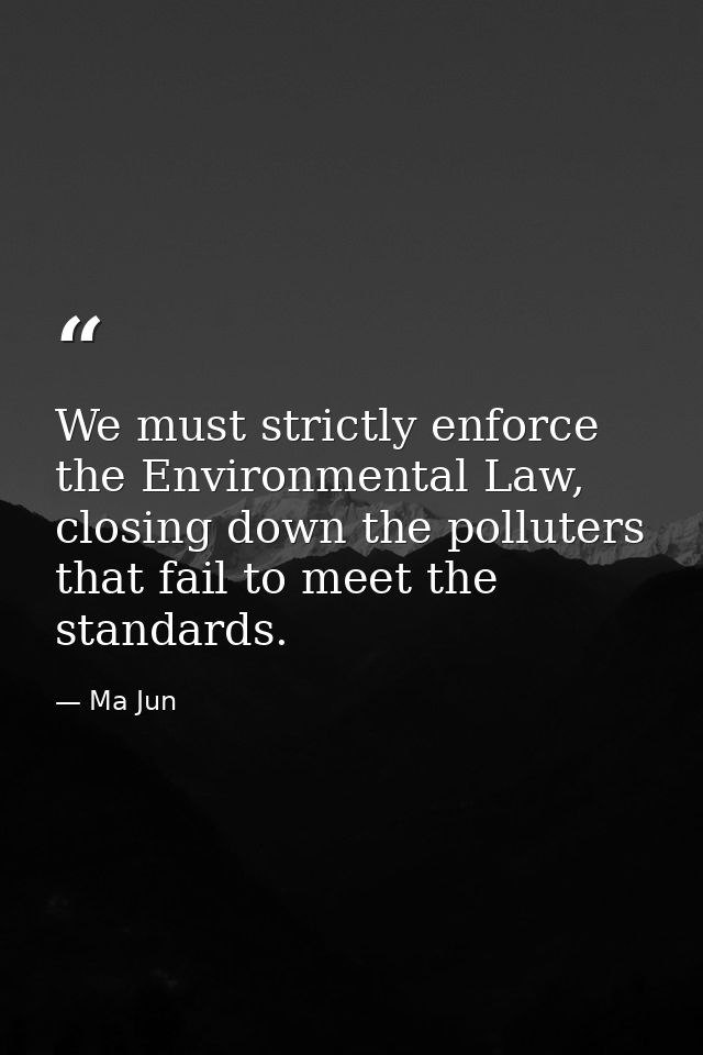 We must strictly enforce the Environmental Law, closing down the polluters that fail to meet the standards. — Ma Jun