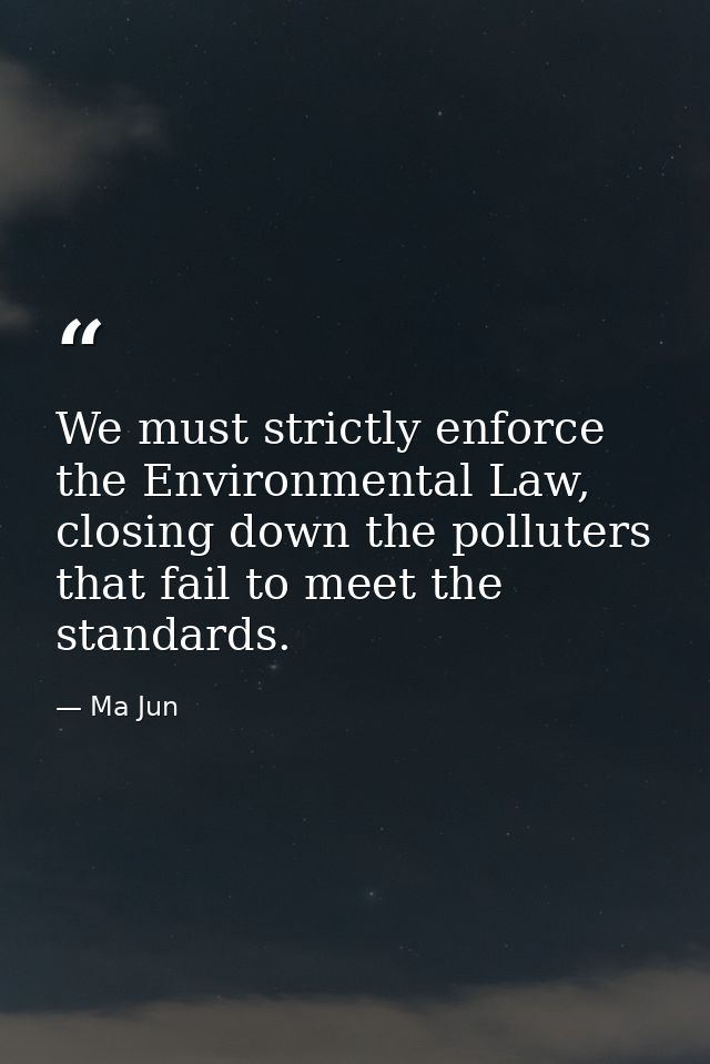 We must strictly enforce the Environmental Law, closing down the polluters that fail to meet the standards. — Ma Jun
