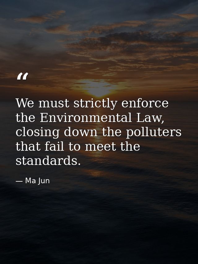 We must strictly enforce the Environmental Law, closing down the polluters that fail to meet the standards. — Ma Jun