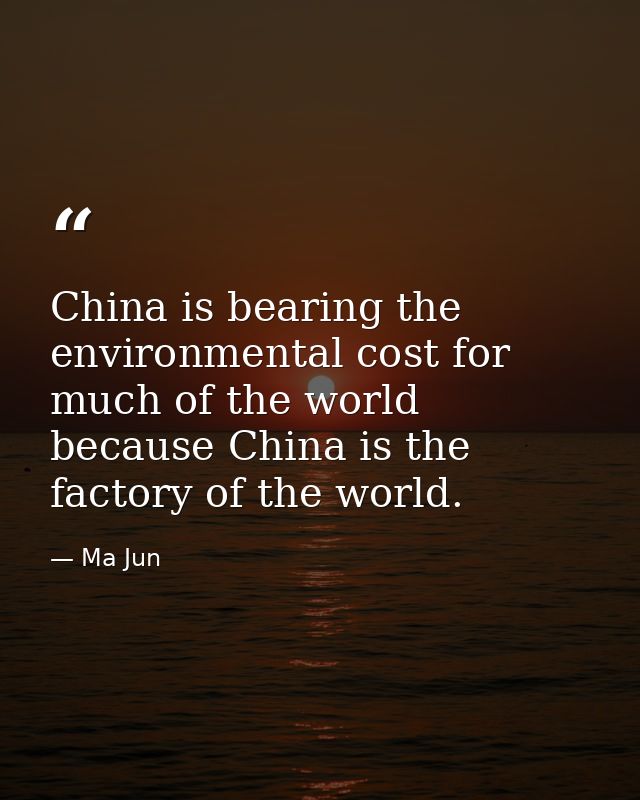 China is bearing the environmental cost for much of the world because China is the factory of the world. — Ma Jun