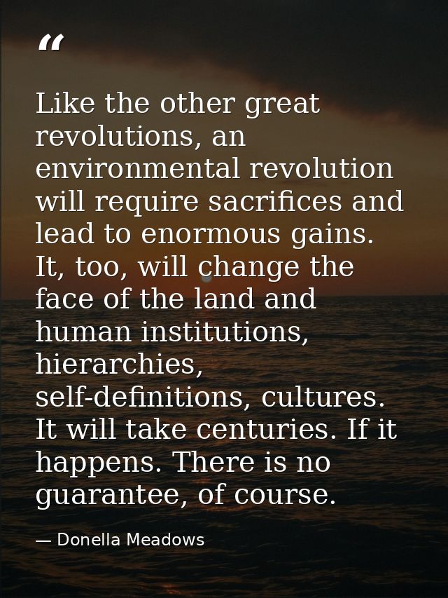 Like the other great revolutions, an environmental revolution will require sacrifices and lead to enormous gains. It, to — Donella Meadows