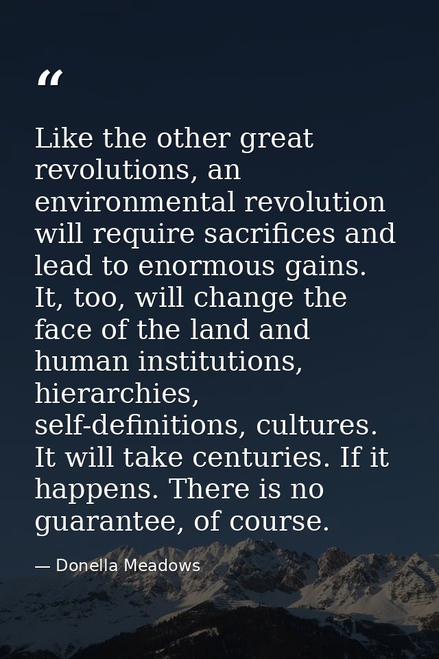 Like the other great revolutions, an environmental revolution will require sacrifices and lead to enormous gains. It, to — Donella Meadows