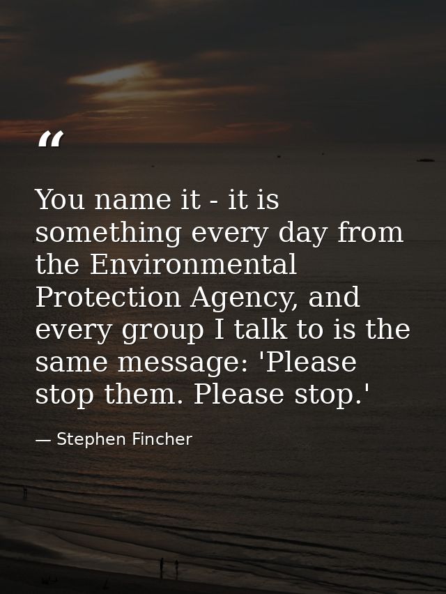 You name it - it is something every day from the Environmental Protection Agency, and every group I talk to is the same  — Stephen Fincher