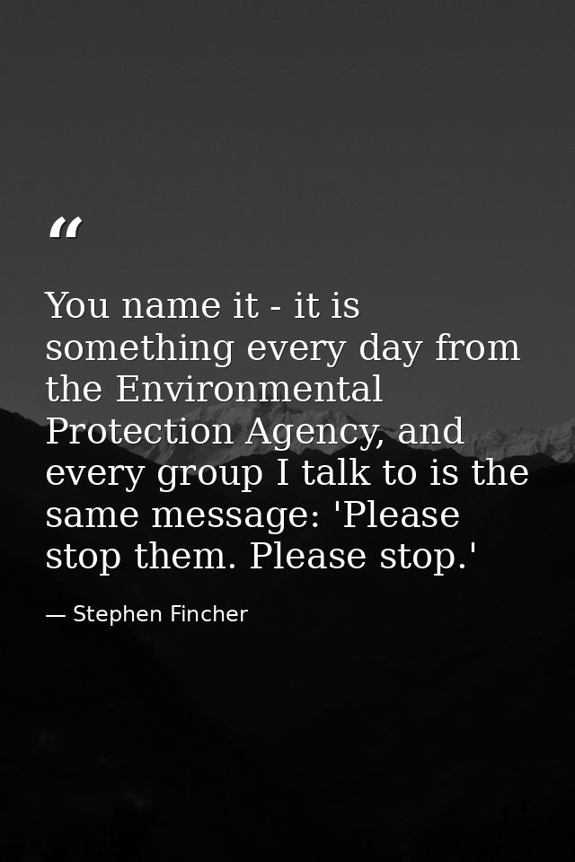 You name it - it is something every day from the Environmental Protection Agency, and every group I talk to is the same  — Stephen Fincher