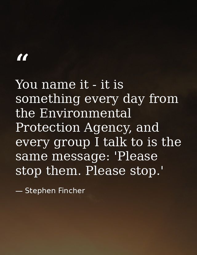 You name it - it is something every day from the Environmental Protection Agency, and every group I talk to is the same  — Stephen Fincher