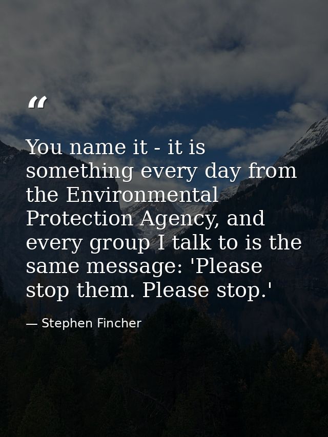You name it - it is something every day from the Environmental Protection Agency, and every group I talk to is the same  — Stephen Fincher