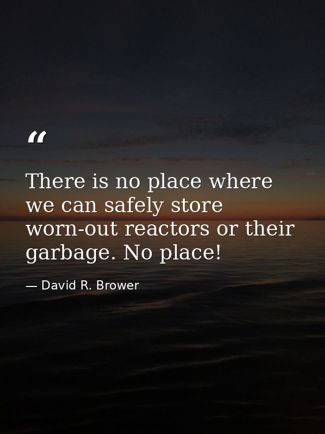 There is no place where we can safely store worn-out reactors or their garbage. No place! — David R. Brower