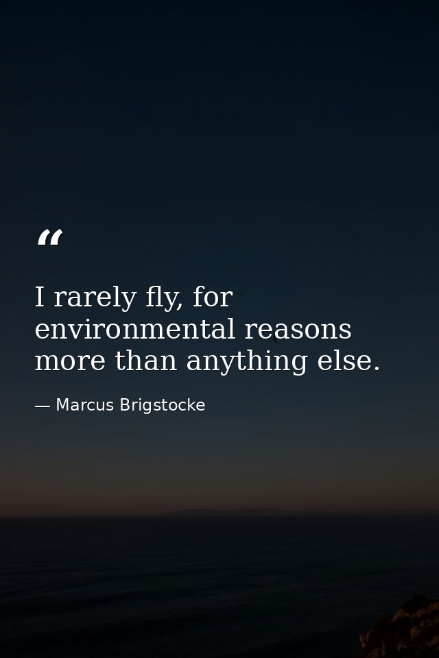 I rarely fly, for environmental reasons more than anything else. — Marcus Brigstocke