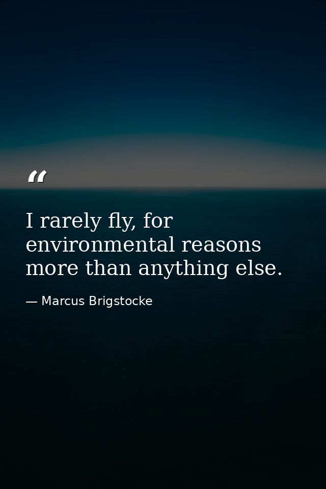 I rarely fly, for environmental reasons more than anything else. — Marcus Brigstocke