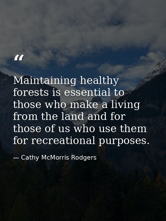 Maintaining healthy forests is essential to those who make a living from the land and for those of us who use them for r — Cathy McMorris Rodgers