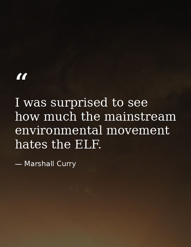 I was surprised to see how much the mainstream environmental movement hates the ELF. — Marshall Curry