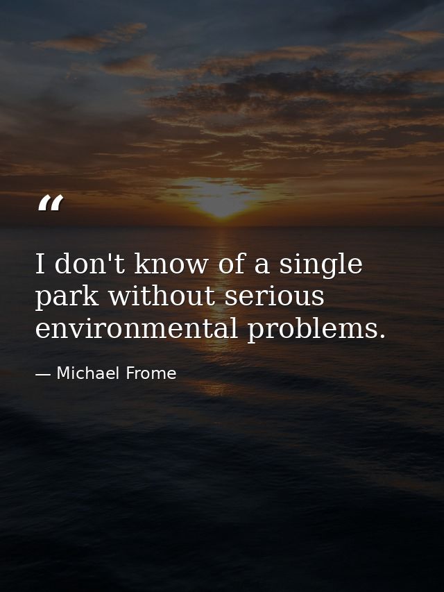 I don't know of a single park without serious environmental problems. — Michael Frome