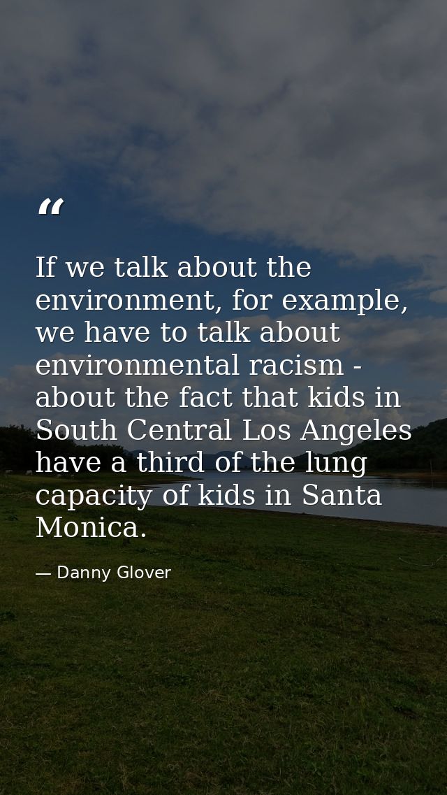If we talk about the environment, for example, we have to talk about environmental racism - about the fact that kids in  — Danny Glover