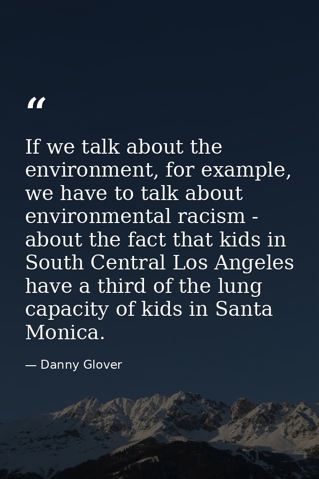 If we talk about the environment, for example, we have to talk about environmental racism - about the fact that kids in  — Danny Glover